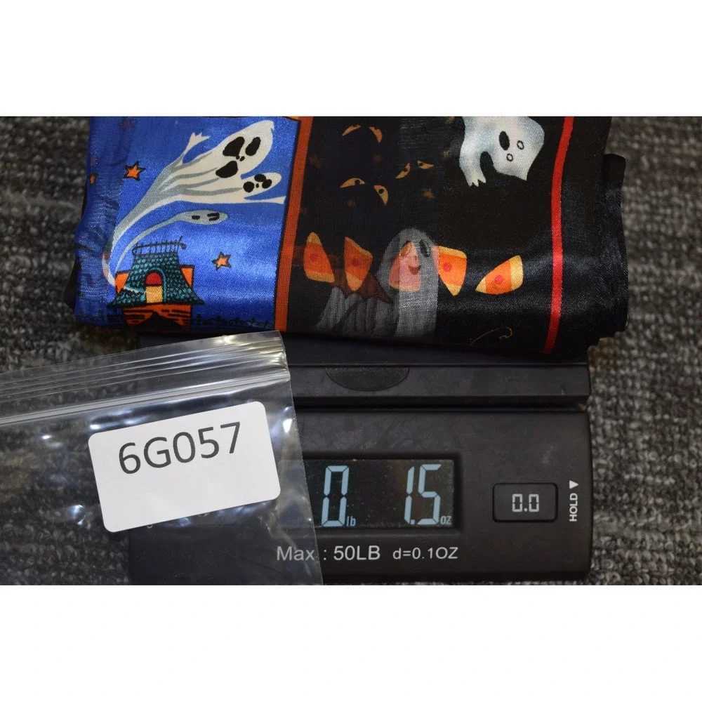 Halloween Ghost Pumpkin Haunted House Sheer Rectangular 58